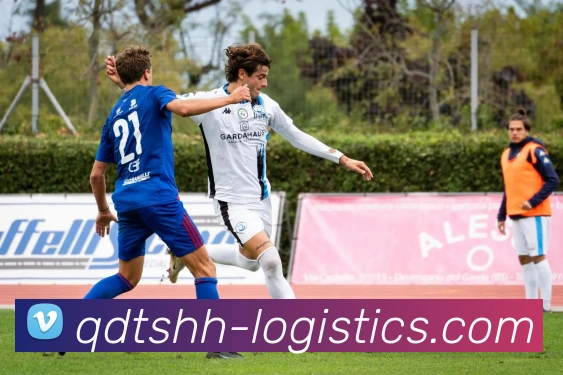 AI Risk Control